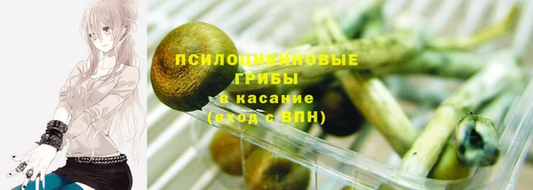стаф Армянск