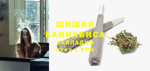 шишки Алзамай