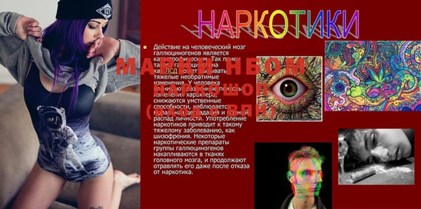 стаф Армянск