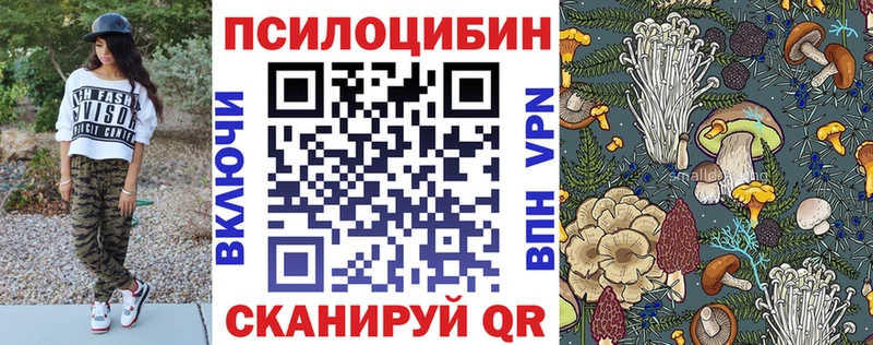 мега   купить  цена  Белинский  Псилоцибиновые грибы GOLDEN TEACHER 